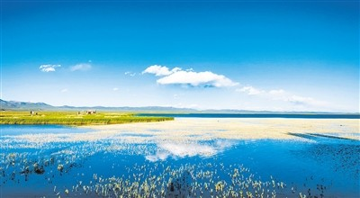 四川：推进生态补偿?；せ坪印靶钏亍? ></center><br />
 <br />
若尔盖作为四川省黄河流域的一部分，河流蜿蜒曲折，湖泊星罗棋布，独成一湾风景。但同时，若尔盖有8.03万公顷的沙化面积，湿地也在不断萎缩。<br />
 <br />
<strong>加强生态?；ぶ卫?/strong><br />
 <br />
<strong>让母亲河成为幸福河</strong><br />
 <br />
<strong>既是黄河水源涵养地，又是川滇重要生态屏障</strong><br />
 <br />
看着眼前辽阔的草原，阿坝州若尔盖生态环境局局长付伟说，目前，若尔盖草地植被覆盖广阔，生态环境?；ぜ八氏肿戳己谩４尤舳鞘刈⑷牖坪拥乃?，在枯水期占黄河上游流量的40%，丰水期占到26%，对确?；坪恿饔虻纳踩哂兄匾铰缘匚?。“然而，沙化、湿地萎缩等问题却给这块宝石蒙上了一层灰?！?br />
 <br />
1998年，若尔盖县实施天保工程后，全面停止天然林商品性采伐。2003年启动“中国西部地区退牧还草工程”。截至2014年，退耕还林3.75万亩。<br />
 <br />
仅“十一五”期间，若尔盖县就治理沙化土地12667公顷，有力遏制了土地沙化趋势。通过小流域综合治理水土流失面积220公顷，修建引排水工程6.53千米，封禁治理70公顷，水土保持种草150公顷。遗憾的是，“局部好转、整体恶化”的形势未能改变。<br />
 <br />
若尔盖只是一个缩影。甘孜州石渠县和阿坝州阿坝县、红原县、松潘县也有相似的情况。<br />
 <br />
四川境内黄河干流长174公里，流域面积1.87万平方公里，占整个黄河流域面积2.4%，湿地需水量近100亿立方米，是“中华水塔”的重要组成部分，是黄河上游重要水源涵养地，有黄河“蓄水池”之称。<br />
 <br />
其中，生态?；ず煜呙婊咏?0%；有若尔盖湿地国家自然?；で?、红原嘎曲国家湿地公园、若尔盖国家湿地公园等；拥有天然草场3697万亩、林地1009亩、耕地21万亩。<br />
 <br />
“四川省黄河流域情况特殊，既是藏区、深度贫困区和高海拔生态脆弱区，又是青藏高原生态屏障、黄土高原—川滇生态屏障的重要区域，属限制开发的国家重点生态功能区?！彼拇ㄊ∩肪程肪炒ΥΤぼ怯婪逅?。<br />
 <br />
<strong>生态功能不断退化 环境保护成“赔本买卖”</strong><br />
 <br />
若尔盖湿地是目前已知黑颈鹤数量最多、集中的繁殖地。然而，在最近的一次调研中，芮永峰发现，黑颈鹤的“家园”正在逐渐缩小。<br />
 <br />
10月中旬，芮永峰带领四川省生态环境科学研究院、省环境监测总站、省环境政策研究与规划院等单位，重点围绕生态产品供给、生态?；び胄薷?、基础设施短板、生态环境监管水平等进行现场考察。<br />
 <br />
让人痛心的是，虽然多年来流域各地一直持续改善生态环境，但由于长期过度放牧、粗放式城镇建设与各类开放活动、不合理旅游开发、落后基础设施等因素，最终没有阻止沼泽草甸退化、湿地萎缩，水源涵养功能有所退化，草原沙漠化趋势没有得到根本遏制。<br />
 <br />
其中，湿地面积从解放初期约2205万亩萎缩1245万亩，减幅近60%。据《四川省第五次荒漠化和沙化监测报告》（2015）监测成果表明，若尔盖、红源两县沙化面积8.35万公顷，其中若尔盖县沙化面积就有8.03万公顷。<br />
 <br />
“规划没有跟上的同时，一笔经济账也被摆到眼前。”芮永峰说，黄河流域属于集中连片贫困地区，薄弱的经济条件难以支撑巨大的生态?；ぶ卫硗度搿?br />
 <br />
以防沙治沙工程为例，每亩需要投入200元。而这，仅能对露沙地进行简单的治理。在现有生态转移支付资金不能满足现实需要的情况下，当地政府难以支撑。2018年，阿坝州财政自给率只有8.4%。<br />
 <br />
农牧民也在算账。在当前“两年建设、三年管护”的沙化治理标准下，当地农牧民无法从实施生态?；は钅恐惺芤妗Ｍ?，现有草原禁牧补助7.5元/亩、草原平衡奖励2.5元/亩，而天然草原的平均产值167元/亩，与农牧民实际收入相差甚远。<br />
 <br />
这与青海、甘肃等地区也存在差距。缺失的生态补偿机制，让若尔盖的环境?；ぢ傥芭獗镜穆蚵簟?。因此，就算建成后，草管员因待遇低工作积极性不高，导致偷猎、破坏围栏现象时有发生。<br />
 <br />
<strong>补齐“蓄水池”短板 推进生态补偿</strong><br />
 <br />
要?；ず没坪诱飧觥靶钏亍?，芮永峰坦言，除了需要谋划好顶层设计、加快“三线一单”落地，把握好特色农畜产品加工、清洁能源与文旅产业发展以及城镇与交通建设等开发活动底线外，还要加大技术扶持、补齐基础设施短板等。“更重要的是如何做好?；び敕⒄拐獾捞?。”<br />
 <br />
就付伟看来，花湖、月亮湾模式值得借鉴。<br />
 <br />
以花湖景区为例，当地牧民可以从3个方面获得因减少放牧量而造成的损失?！霸诰扒钡啬撩窦宄鲎式斯何镏行?，收益归集体；吸收有一定基础的牧民加入景区管理，获得收入；景区门票10%的收入返还给牧民?！?br />
 <br />
在实现自然生态系统、自然?；で扔行П；さ那疤嵯?，积极推进自然风光、高原生态、民族风情等特色旅游健康发展，充分挖掘黄河文化，实现景观旅游与文化旅游深度融合。<br />
 <br />
“月亮湾模式则是政府引入ppp资金，租用当地牧民的冬草场?！备段敖樯芩?，为了持续发展旅游，月亮湾区域6户牧民被限定了养牦牛的数量，每年不超过200头，每年补助300万元。还吸收牧民参与旅游管理服务工作，获得收益。<br />
 <br />
在生态补偿上，落实聚焦生态功能，探索建立以绩效为导向的综合性生态补偿机制。在长江、黄河上下游流域开展横向生态补偿，采取资金补偿、对口协作、产业转移、人才培训、共建园区等方式，实施横向生态补偿。同时，加大财政转移支付力度，综合高原高寒、道路、物价等成本因素，提高?；で屏λ健?br />
 <br />
在实施流域生态综合治理方面，可以探索生态移民试点，支持建立生态移民聚居区。将若尔盖纳入全国防沙治沙工程重点治理区域和西部大开发生态建设重点工程，延长沙化治理管护时限10年至15年。<br />
 <br />
 <br />
 <br />
文章来源：慧聪水工业网（侵删）<br />
图片来源：慧聪水工业网（侵删）</p>
        </div>
        
                
	</div><!-- .entry-content -->
    
    
    <div style=