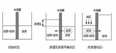 ro膜是什么？为什么说它是净水器的灵魂？