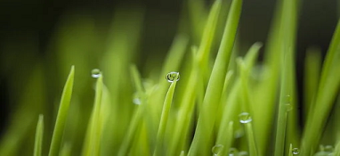 次氯酸钠去除氨氮 加药量多少效果比较好？