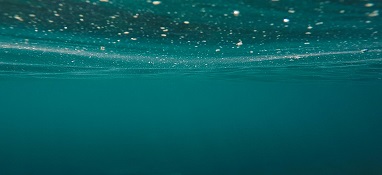 【数据】2023年家电行业一季报综述：经营企稳向上，白电板块表现领先